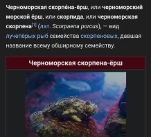 Комментарии и картинки из соцсетей. Свежак за 4 августа