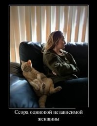 Предательство хозяйки не осталось незамеченным