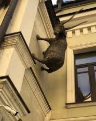 - Волки позорные!