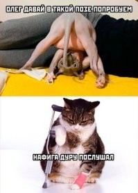 "Ну сфоткай меня!": мужчины, которые готовы ради своих женщина на всё