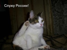 Собачники данный пост не оценят