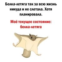 Огромная белка-летяга из Азии