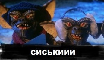 если бы не Спилберг, в гремлинах были бы сиськи! т.к. в то время ужастики и эротика были почти не разделимы :)