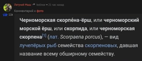 Комментарии и картинки из соцсетей. Свежак за 4 августа