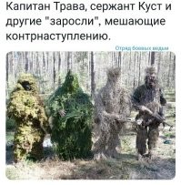 В сети троллят британскую разведку за выводы о "кустах", которые срывают контрнаступ ВСУ