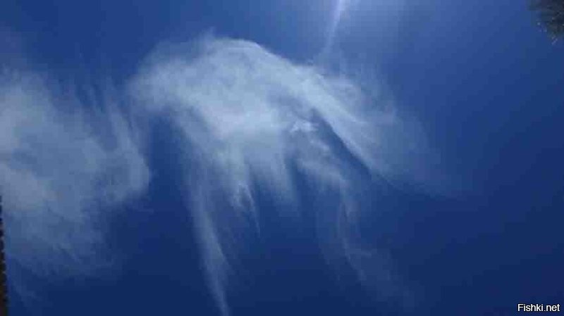 Цитата: "...использование настольных программ для редактирования изображений, таких как Photoshop, запрещено..."
Да тут любой дизайнер определит, что фото обработаны фильтрами самого iPhone.
Тогда где логика? Photoshop нельзя, а встроенные фильтры можно?
Для сравнения вот некоторые мои фото с простого фотика SAMSUNG DV150F БЕЗ ФИЛЬТРОВ и ОБРАБОТКИ! То, что они не обработаны, доказывает мусор на некоторых фотках, который попал на внутренние линзы (убрать не смог, пришлось покупать новый точно такой же фотик).