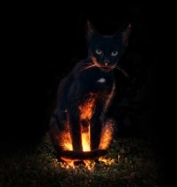 Настало время...