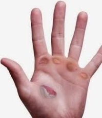 Любой труд почетен...