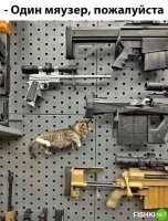 Так это ж КТ 
Лучше старенький КТ,
Чем дзюдо и каратэ