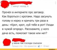 Комментарии и картинки из соцсетей. Свежак за 5 августа