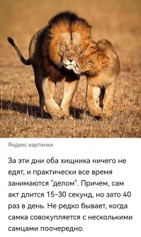 Учительница биологии, наверное...