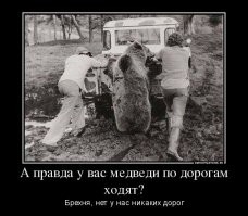 Забавные  демотиваторы
