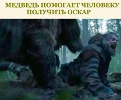 Какие животные помогают людям