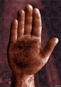 Тоже трудяги одного