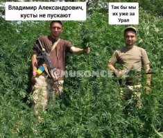 В сети троллят британскую разведку за выводы о "кустах", которые срывают контрнаступ ВСУ