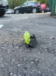 Окно в подъезде и свежий асфальт во дворе.