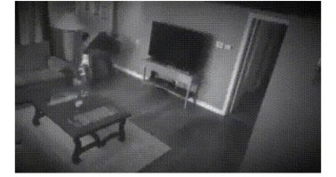 Девушка-оборотень.