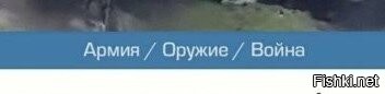 Напиши на сайт авторов этой картинки