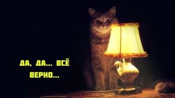 Не ищите здесь смысл. Здесь в основном маразм