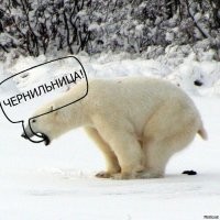 Одно из двух