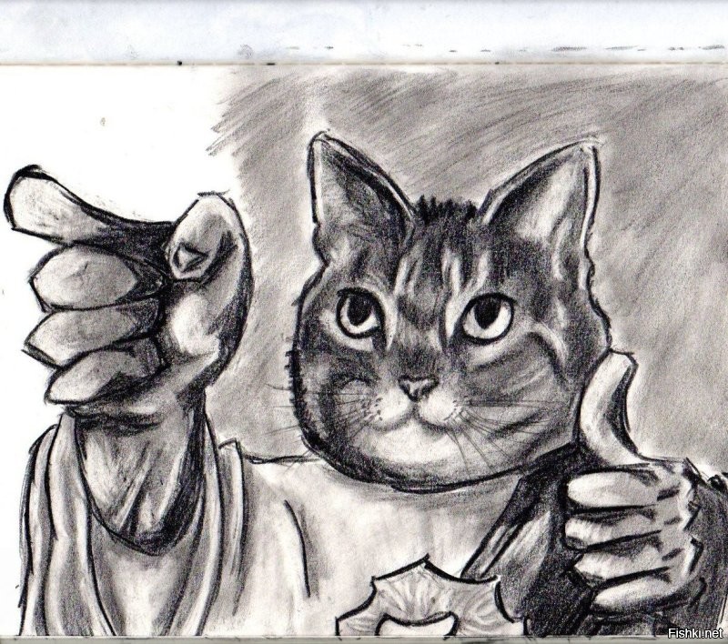 Священные животные в разных странах мира