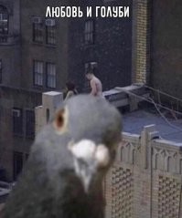 В центре Москвы устроили откровенную фотосессию на крыше многоэтажки