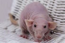 про огрызок (айфон)забыли , через год