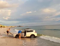 Почему-то подобное никогда не вызывает ни малейшего сочувствия...
Только лёгкое недоумение.