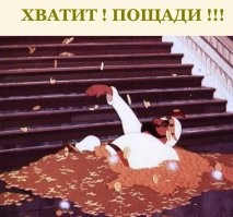 Семья из Череповца накопила 166 кг монет и принесла их в банк