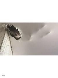 Тогда нужно попросить кота аккуратную дырку сделать...