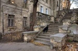 Это вы в Севастополе не были..