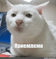 У юного любителя аттракционов сдали нервы