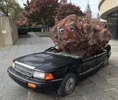 Серия арт-инсталляций чувака Jimmie Durham.
Я нашёл в Сети около пяти-шести.
Все машины, как видно, стоят аккуратненько, зачастую  в границах парковочного места, и вокруг нет ни осколков, ни обломков.