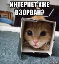 Замуровали, демоны! Топ фильмов о людях в замкнутом пространстве
