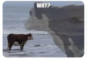 Намешалось