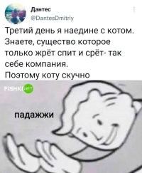Я уже неделю наедине с котом.Но завтра это кончится.Даже не знаю кто больше обрадуется,я или кот.