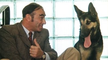 Всё, всё что нажито непосильным трудом! Миллион рублей..., шесть, шесть миллионов...