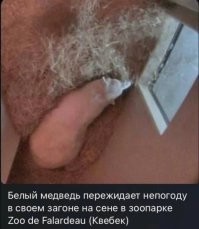 Вот здесь подпись очень существенна. До неё я видел, что кто-то укрылся сеном, оставив хрен снаружи