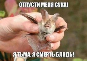 Не ищите здесь смысл. Здесь в основном маразм
