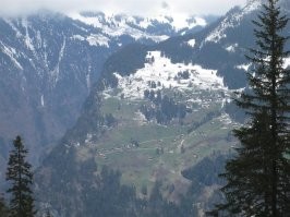 Парень заблудился в горах и подвернул ногу. Когда уже отчаялся, он вдруг увидел пушистого ангела-хранителя, который стал его спасителем