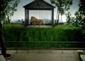 Этот кролик?