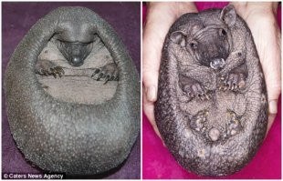 Самые пугающие женщины в кино