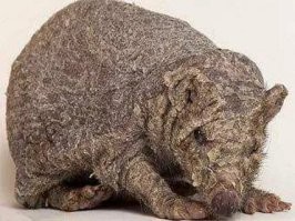 Самые пугающие женщины в кино