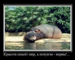 А зачем вообще разговаривать? Разгружай побыстрее что там надо, и просто игнорируй толпу визгливых яжматерей. Сотый раз убеждаюсь, что