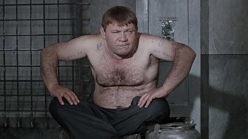 Амурский тигр зашел в гости к бенгальским родственникам