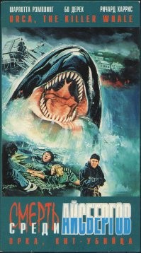 Косатки совершили нападение на яхту у берегов Португалии