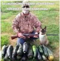 К этой фотке лучше бы подошла другая подпись.
