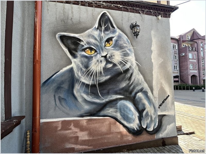 В нашем маленьком городе тоже много настенной рисовальни. В основном с котами. И эти росписи тоже вполне официальны и согласованы с руководством нашего города.