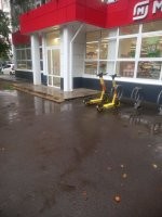 Все углы обшарил. Ни одного не нашёл. Даже шалаша никакого.
