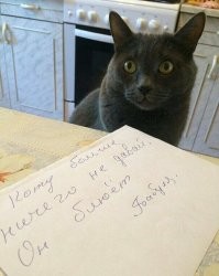 Фотоприколы и&nbsp;прикольные картинки